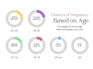Chart for Chances of Getting Pregnant in Your 20s