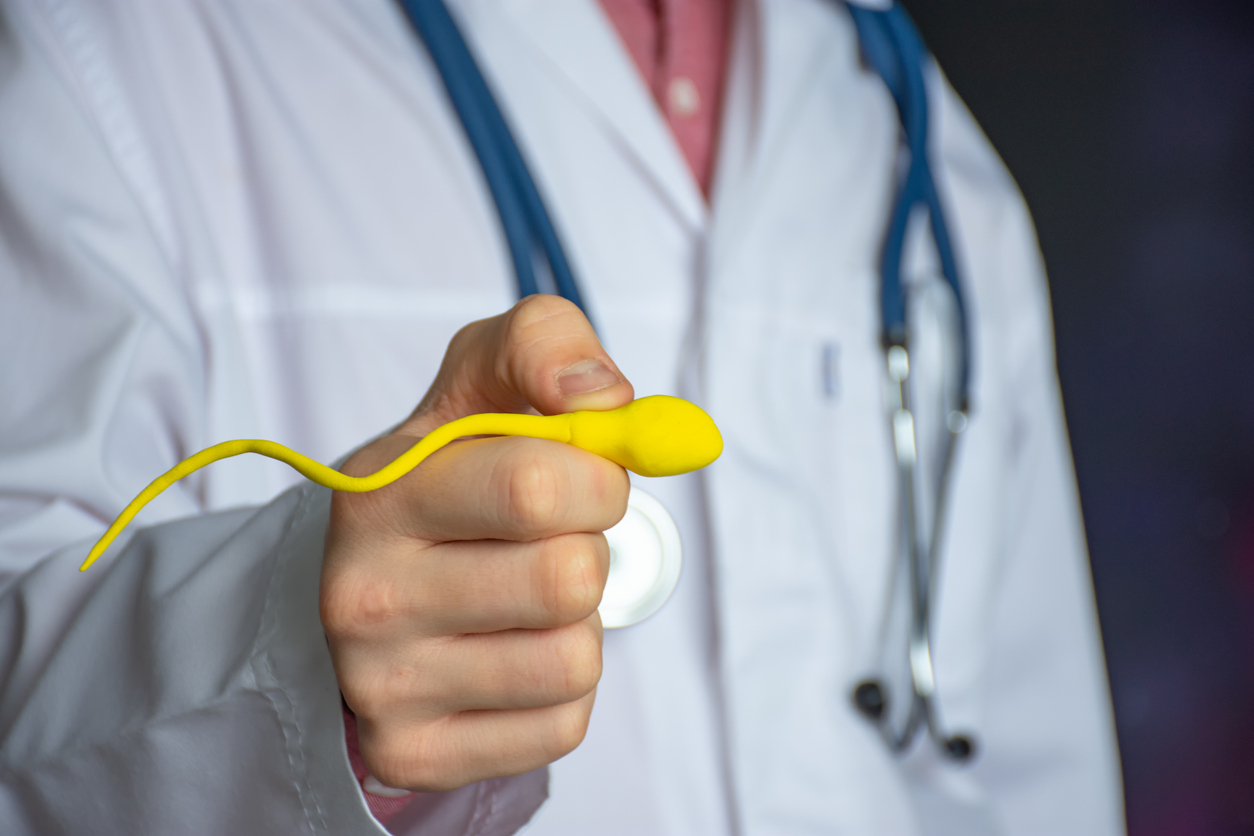 Fertility doctor holds a sperm model to demonstrate male infertility.